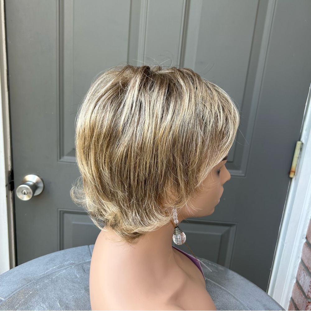 Paula Young Alex Light Ash Brown Light Golden Blonde Tips Wig 24T/18